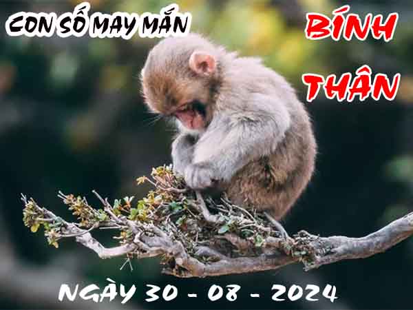 Nhận định con số may mắn tuổi Bính Thân ngày 30/8/2024 thứ 6 hôm nay